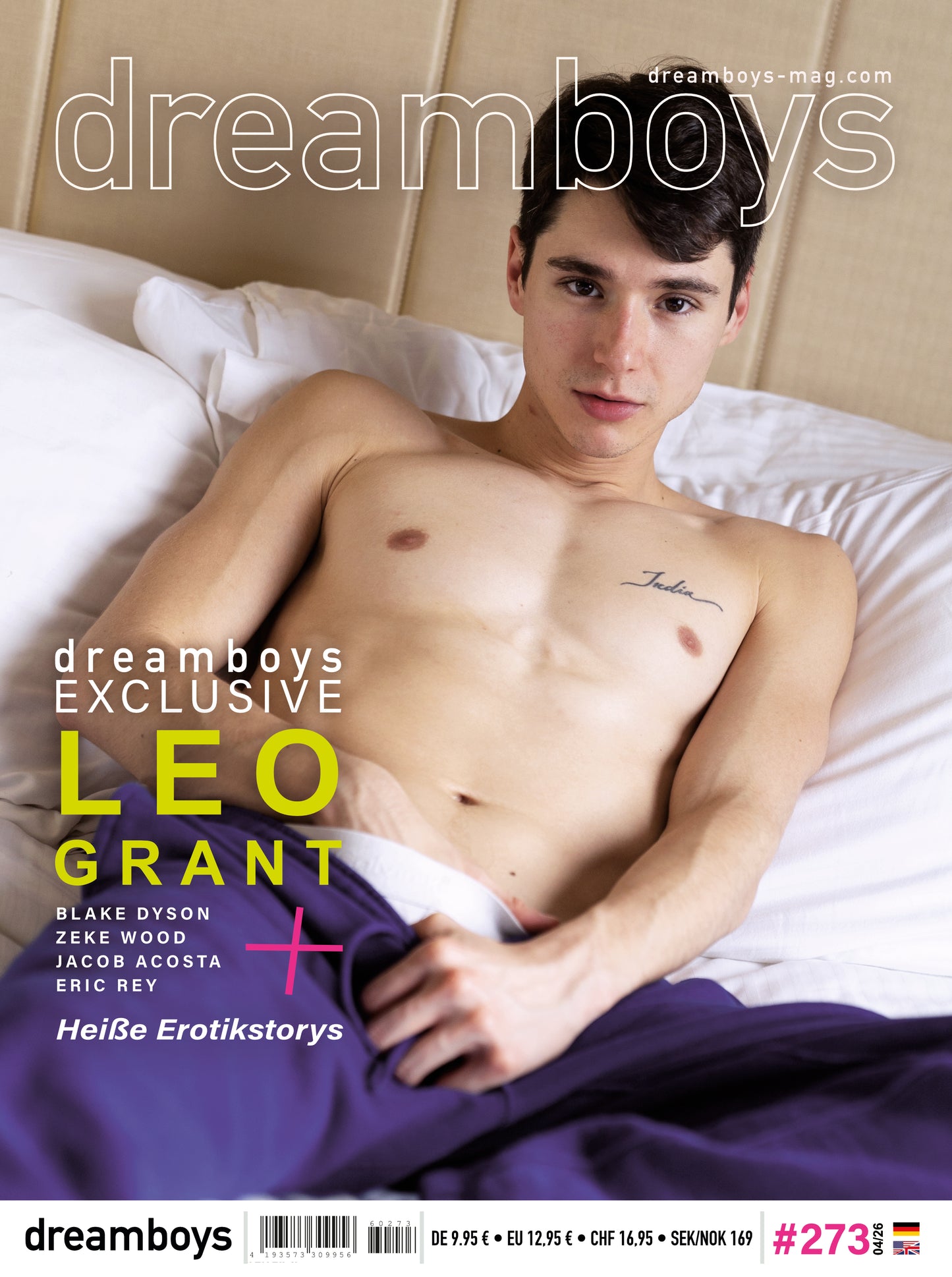 Dreamboys #273